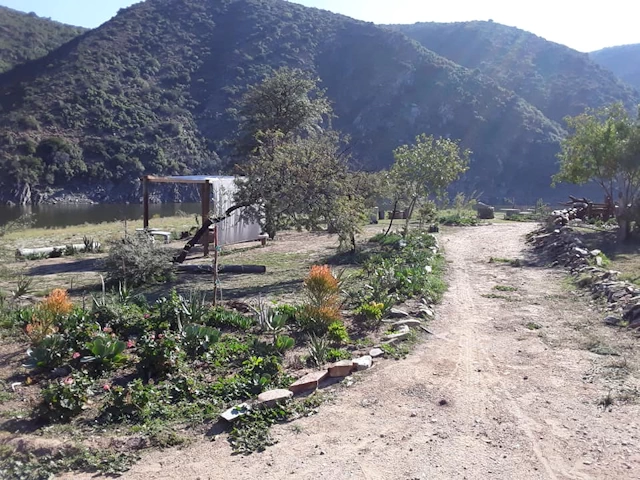 Fish Eagle Eco Camp